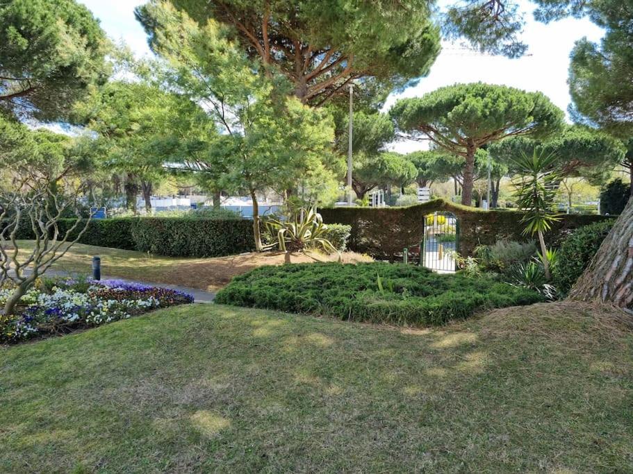 Superbe T2 Tout Confort 3 Etoiles, Entierement Renove Avec Piscine, Parking, Clim, Wifi, Netflix La Grande-Motte Exterior foto
